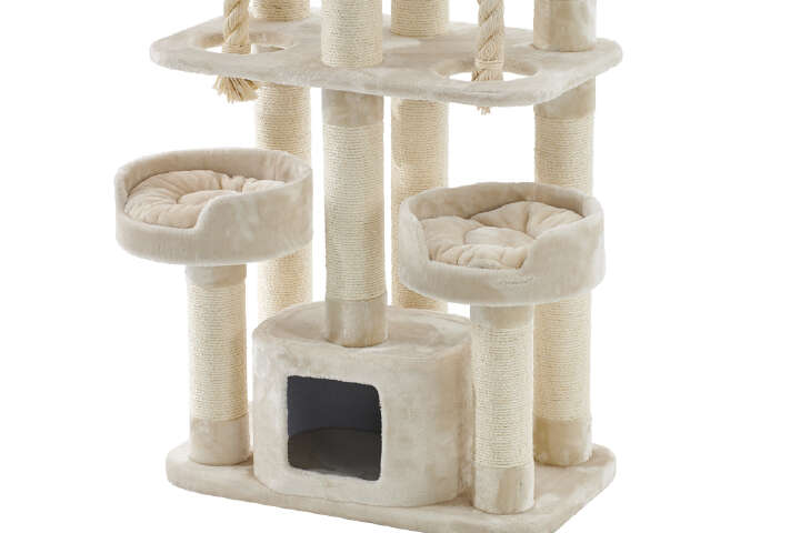 Nobby Kratzbaum Kyla